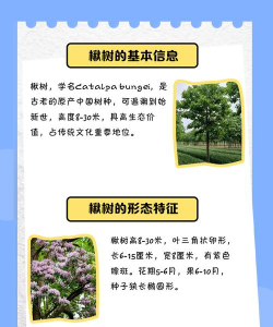 秋树虫害防治,常见问题解析,实用应对方法 秋树虫害防治,常见问题解析,实用应对方法