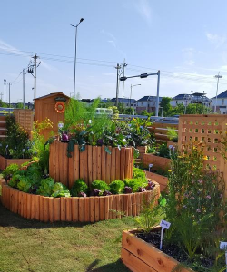 蔬菜绿化设计,美化家庭环境,提升生活品质 蔬菜绿化设计,美化家庭环境,提升生活品质