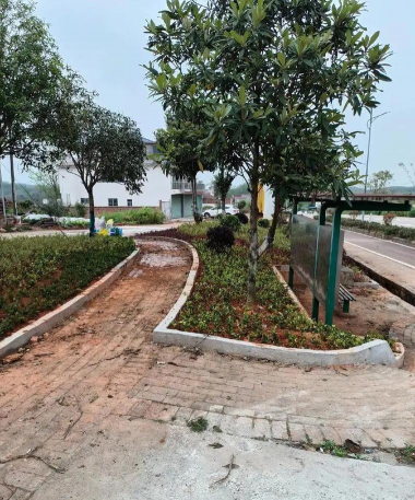 绿化设计飘带,提升景观美感,打造视觉焦点 绿化设计飘带,提升景观美感,打造视觉焦点