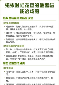 怎样防治树蚂蚁,快速有效方法,保护树木健康 怎样防治树蚂蚁,快速有效方法,保护树木健康