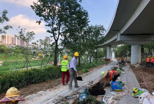 绿化占比市政绿化,提升城市环境,优化居民生活 绿化占比市政绿化,提升城市环境,优化居民生活