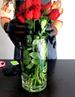 花怎么插在瓶子里养,延长花期技巧,新手一看就会 花怎么插在瓶子里养,延长花期技巧,新手一看就会