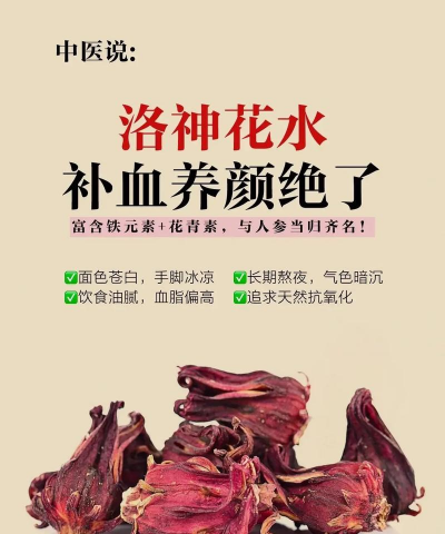 玫瑰茄洛神花怎么养,掌握关键技巧,轻松收获美丽花朵 玫瑰茄洛神花怎么养,掌握关键技巧,轻松收获美丽花朵