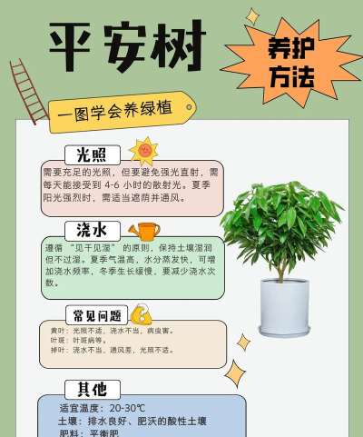 平安树防治方法,常见问题解析,实用技巧分享 平安树防治方法,常见问题解析,实用技巧分享