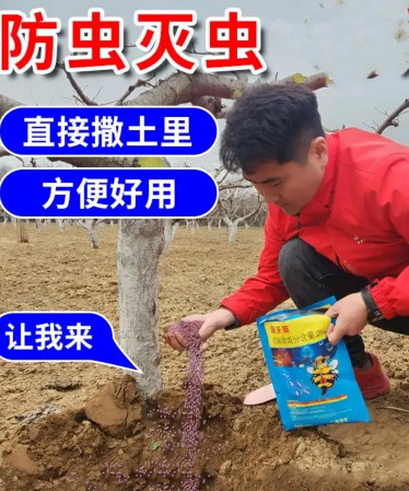 树瘤虫害防治,识别关键症状,采取有效方法 树瘤虫害防治,识别关键症状,采取有效方法