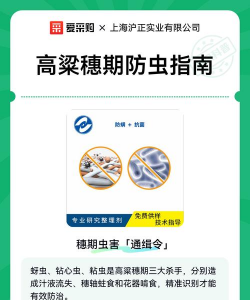 高粱树害虫防治,识别常见虫害,掌握有效方法 高粱树害虫防治,识别常见虫害,掌握有效方法