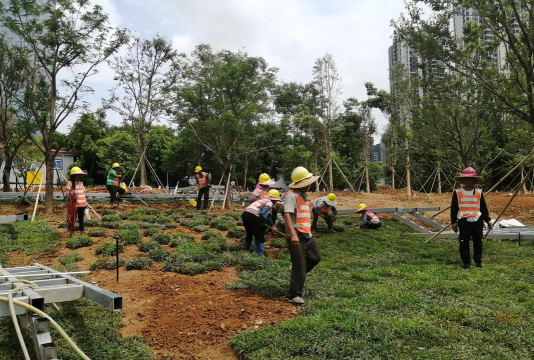 郑州绿化设计公司,专业团队打造,提升城市绿化品质 郑州绿化设计公司,专业团队打造,提升城市绿化品质