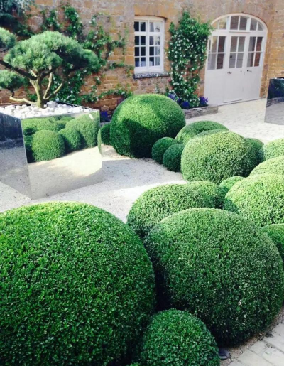 绿化设计球类作用,提升景观效果,增强视觉层次 绿化设计球类作用,提升景观效果,增强视觉层次