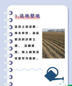 无土栽培技术哪里学,掌握核心方法,找到靠谱渠道 无土栽培技术哪里学,掌握核心方法,找到靠谱渠道