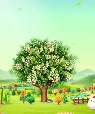 文冠果栽培技术,选对方法,轻松上手 文冠果栽培技术,选对方法,轻松上手