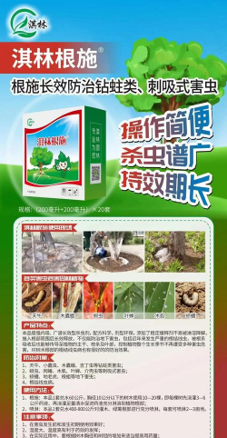 油树虫害防治,识别常见害虫,掌握有效方法 油树虫害防治,识别常见害虫,掌握有效方法