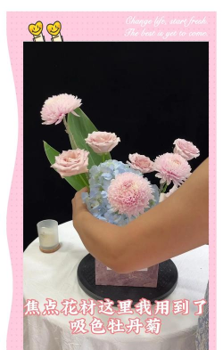 抱抱桶玫瑰花怎么养,新手入门指南,轻松延长花期 抱抱桶玫瑰花怎么养,新手入门指南,轻松延长花期