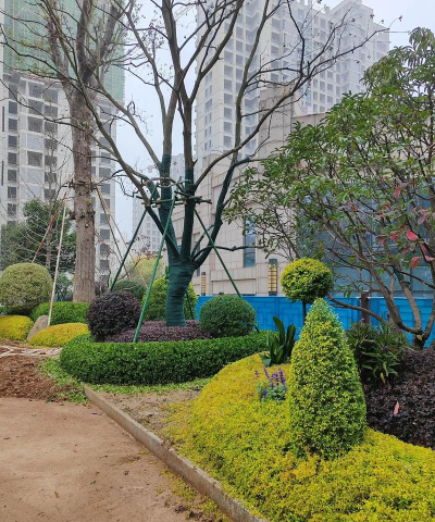 工地绿化小区设计,提升居住品质,打造绿色家园 工地绿化小区设计,提升居住品质,打造绿色家园