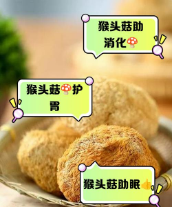 猴菇栽培,掌握关键步骤,轻松收获美味 猴菇栽培,掌握关键步骤,轻松收获美味