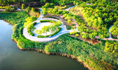 天津河边绿化设计,提升城市形象,改善居民生活 天津河边绿化设计,提升城市形象,改善居民生活