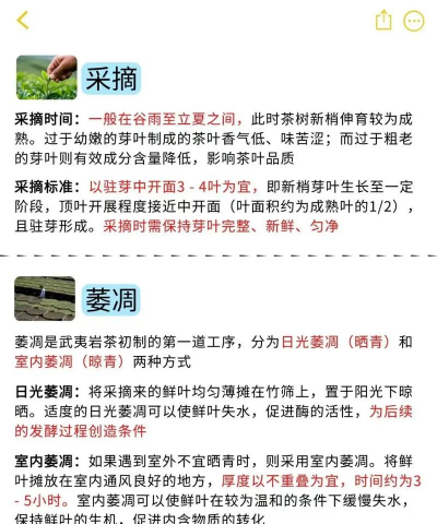 茶叶的栽培技术,掌握关键步骤,提升茶叶品质 茶叶的栽培技术,掌握关键步骤,提升茶叶品质