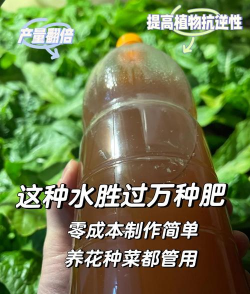 自制无土栽培营养液,掌握核心配方,轻松搞定植物喂养 自制无土栽培营养液,掌握核心配方,轻松搞定植物喂养