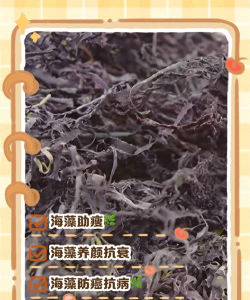 海藻树防治,常见问题解析,实用应对方法 海藻树防治,常见问题解析,实用应对方法