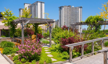 苏州屋面绿化设计,提升城市生态,打造宜居空间 苏州屋面绿化设计,提升城市生态,打造宜居空间