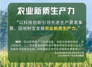 新高栽培,提升产量,优化管理 新高栽培,提升产量,优化管理