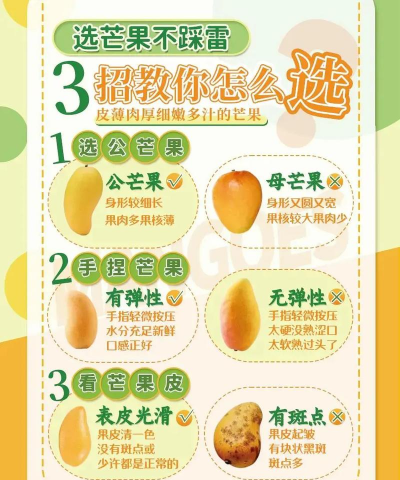 芒果的栽培,选对品种,掌握关键技巧 芒果的栽培,选对品种,掌握关键技巧