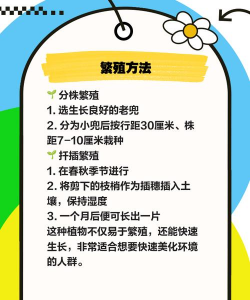 马齿苋栽培技术,轻松上手,收获满满 马齿苋栽培技术,轻松上手,收获满满