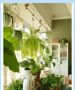 窗台下绿化设计,提升家居美感,打造舒适小空间 窗台下绿化设计,提升家居美感,打造舒适小空间