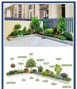 绿化设计哪家快,服务效率高,选择有技巧 绿化设计哪家快,服务效率高,选择有技巧