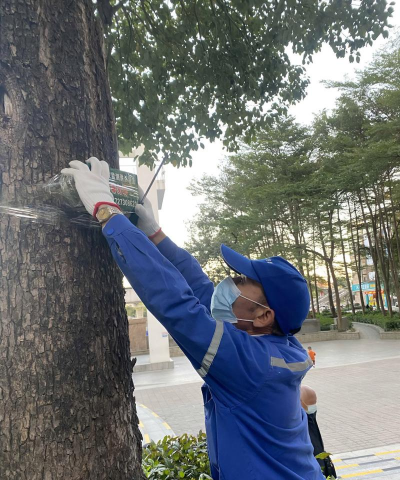 树头防治白蚁,找准关键方法,保护树木健康 树头防治白蚁,找准关键方法,保护树木健康