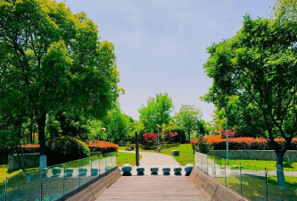 绍兴室外绿化设计,提升居住品质,打造舒适环境 绍兴室外绿化设计,提升居住品质,打造舒适环境