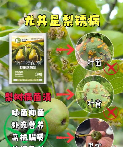 防治树长瘤,找准原因,对症下药 防治树长瘤,找准原因,对症下药