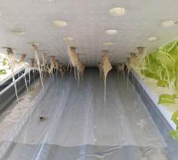 有机栽培技术,提升作物品质,保护生态环境 有机栽培技术,提升作物品质,保护生态环境