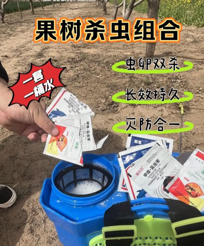 防治吃树虫,识别常见种类,掌握有效方法 防治吃树虫,识别常见种类,掌握有效方法