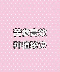 苦参栽培技术,掌握关键步骤,轻松提高产量 苦参栽培技术,掌握关键步骤,轻松提高产量