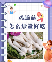 鸡腿菇栽培,掌握关键步骤,轻松收获美味 鸡腿菇栽培,掌握关键步骤,轻松收获美味