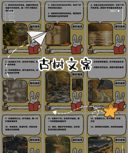 古树防治案例,常见问题分析,实用应对方法 古树防治案例,常见问题分析,实用应对方法