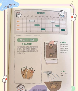 大薯栽培,选对品种,掌握关键技巧 大薯栽培,选对品种,掌握关键技巧