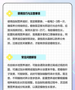 花怎么养自制营养液,省钱又有效,家庭养花必备 花怎么养自制营养液,省钱又有效,家庭养花必备