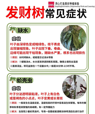 树病害防治工作,常见问题解析,实用应对方法 树病害防治工作,常见问题解析,实用应对方法