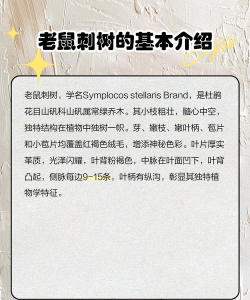 树耗子怎么防治,常见问题分析,实用方法分享 树耗子怎么防治,常见问题分析,实用方法分享