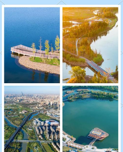 上海品质绿化设计,提升城市颜值,打造宜居环境 上海品质绿化设计,提升城市颜值,打造宜居环境