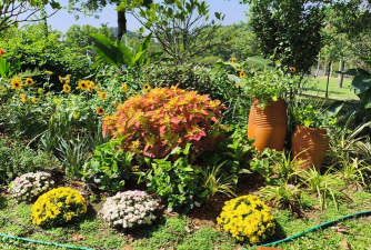 东莞室外绿化设计,提升城市颜值,打造宜居环境 东莞室外绿化设计,提升城市颜值,打造宜居环境