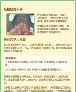 野生灵芝栽培,掌握关键步骤,实现家庭种植 野生灵芝栽培,掌握关键步骤,实现家庭种植