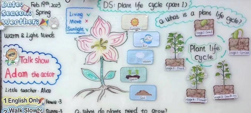 绿化设计原则英文,掌握核心概念,提升专业表达 绿化设计原则英文,掌握核心概念,提升专业表达