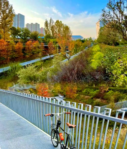西安路口绿化设计,提升城市形象,优化出行体验 西安路口绿化设计,提升城市形象,优化出行体验