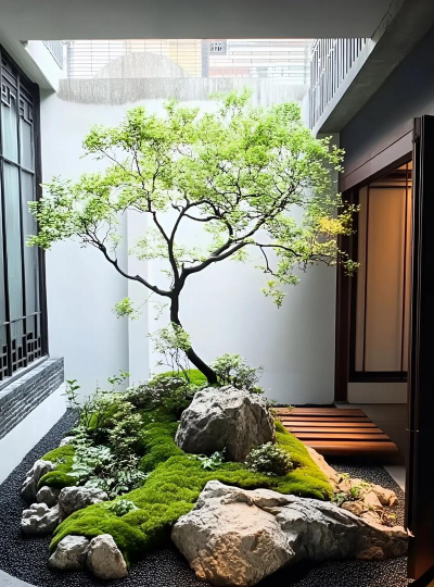 院子绿化盆景设计,提升空间美感,打造自然氛围 院子绿化盆景设计,提升空间美感,打造自然氛围