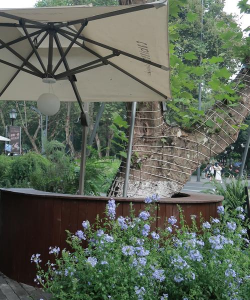 创意绿化吧台设计,提升空间美感,营造自然氛围 创意绿化吧台设计,提升空间美感,营造自然氛围