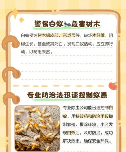 树白蚁防治采购,方法选择,效果保障 树白蚁防治采购,方法选择,效果保障