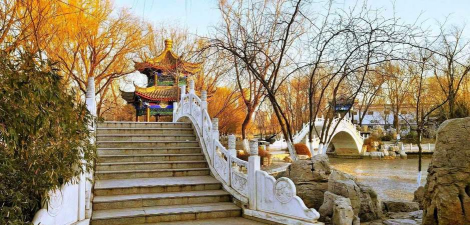 天津冬季绿化设计,提升城市景观,应对寒冷气候 天津冬季绿化设计,提升城市景观,应对寒冷气候