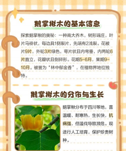 秋树病害防治,识别常见问题,掌握有效方法 秋树病害防治,识别常见问题,掌握有效方法